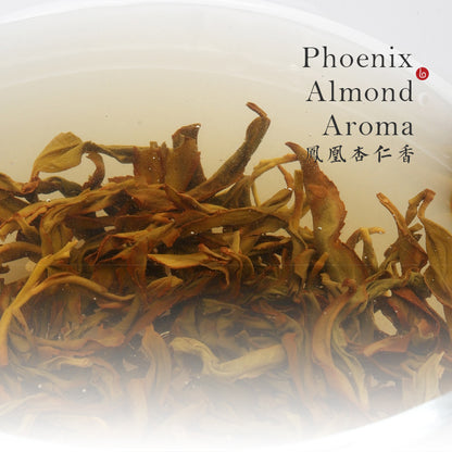 PHOENIX ALMOND AROMA