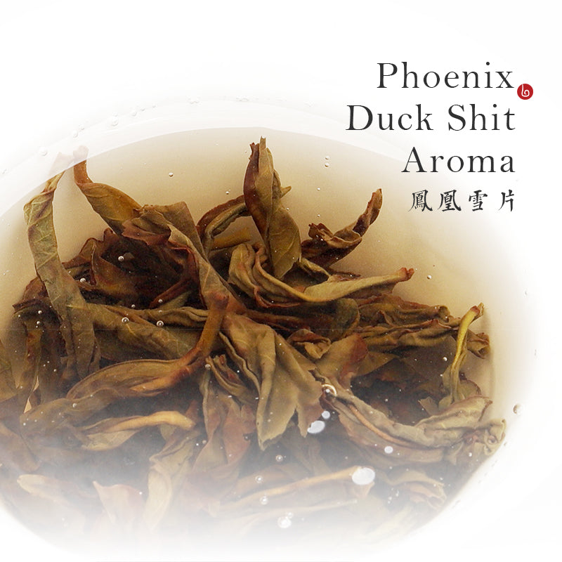 PHOENIX DUCK SHIT AROMA