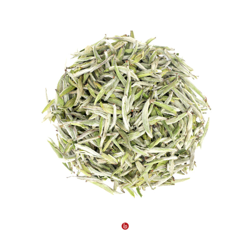 Baihao Silver Needle